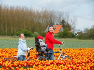 12 مورد دانستنی راجع به هلند، یکی از زیباترین کشورهای جهان