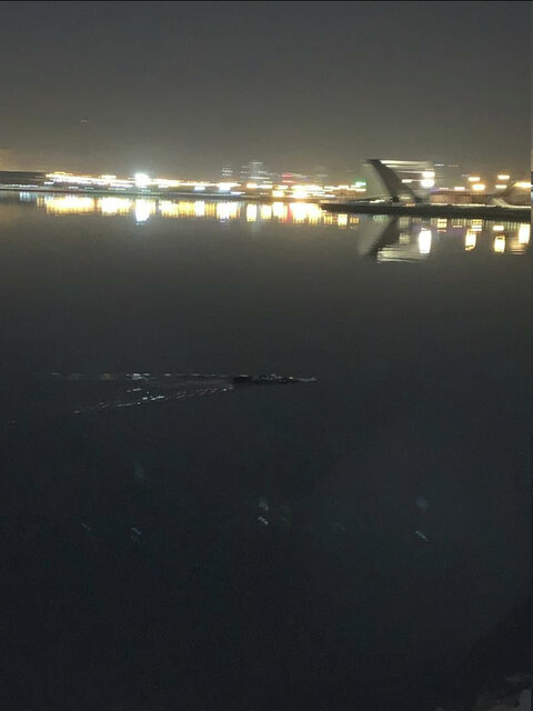ماجرای مشاهده تمساح در دریاچه چیتگر چیست؟ + عکس