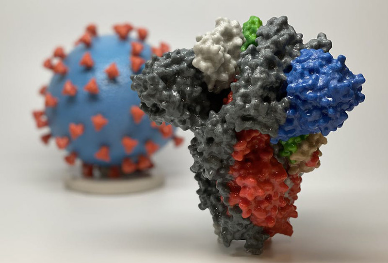 ویروسهای جهشیافته کرونا ؛ آیا گونههای جهشیافته خطرناکترند؟