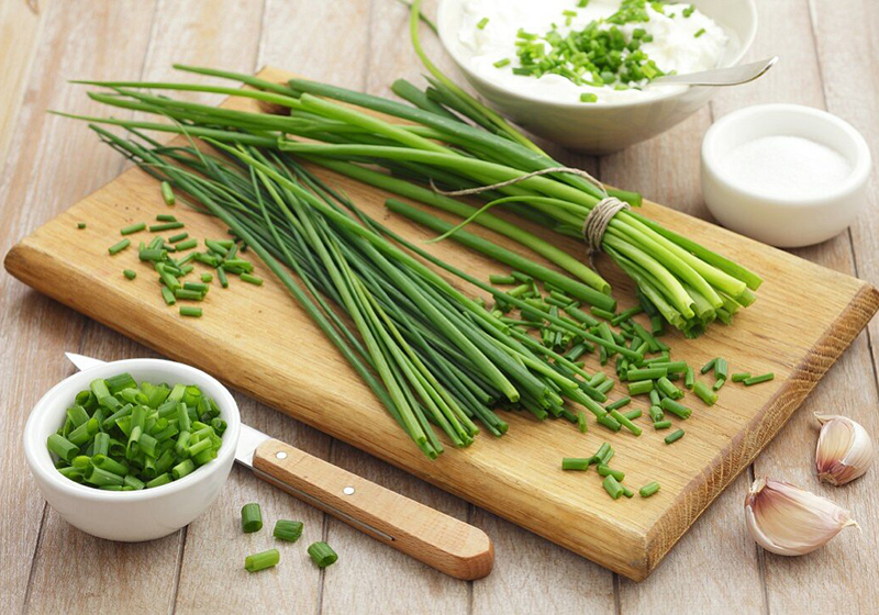 سبزی تره و خواص آن