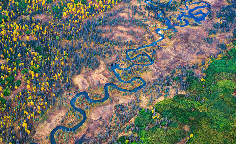  رودخانه کوچک مار مانندی از میان تاندرای رشته کوه آلاسکا می گذرد.