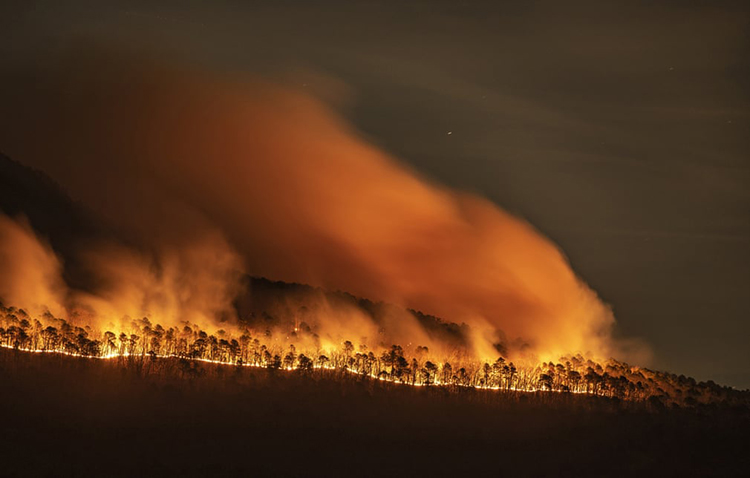آتش سوزی گسترده در امتداد بخش غربی کوهستان Pilot. کارولینای شمالی، آمریکا