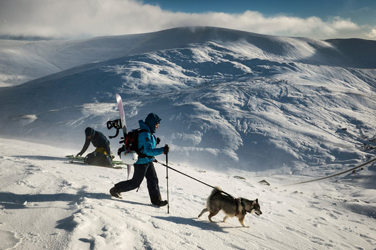 پیست‌های اسکی پس از تعطیلی در سال گذشته به دلیل محدودیت‌های کرونا در شرف بازگشایی هستند. گلنشی، اسکاتلند