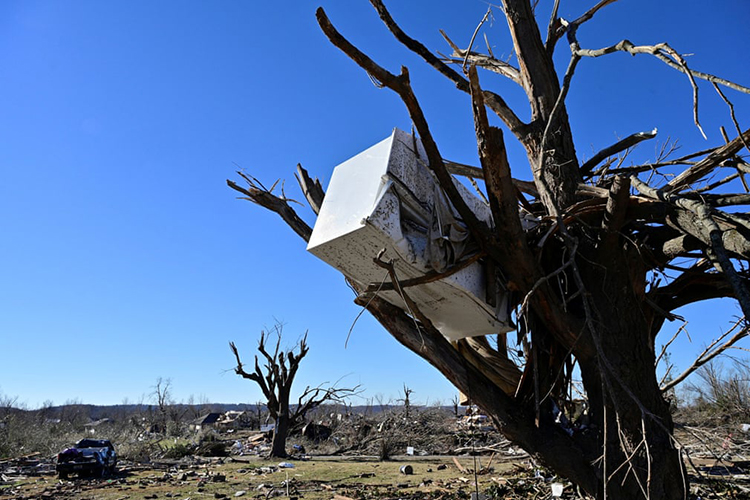پس از وقوع گردباد در چندین ایالت، در مرکز شهر داوسون اسپرینگز، یخچالی در درخت گیر کرده است. کنتاکی، آمریکا