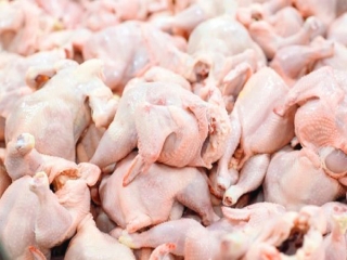 کاهش قیمت مرغ و توقف توزیع مرغ منجمد