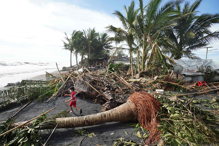 پس از طوفانی که استان ساحلی را درنوردید، درختان ریشه کن شده پراکنده شده اند. دولاگ، فیلیپین