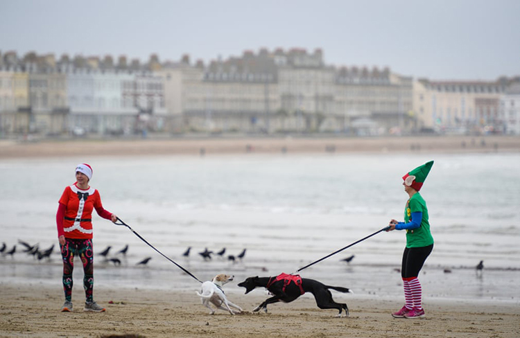 سگ‌ها در یک مسابقه سالانه 5 کیلومتر در ساحل  در کنار صدها دونده با لباس «آقا و خانم پودینگ» می دوند تا برای «ویل مکانس تراست» پول جمع کنند. ویموث، انگلستان