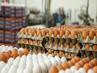 افزایش قیمت تخم مرغ در میادین میوه و تره بار