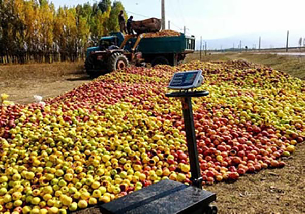 apple-market