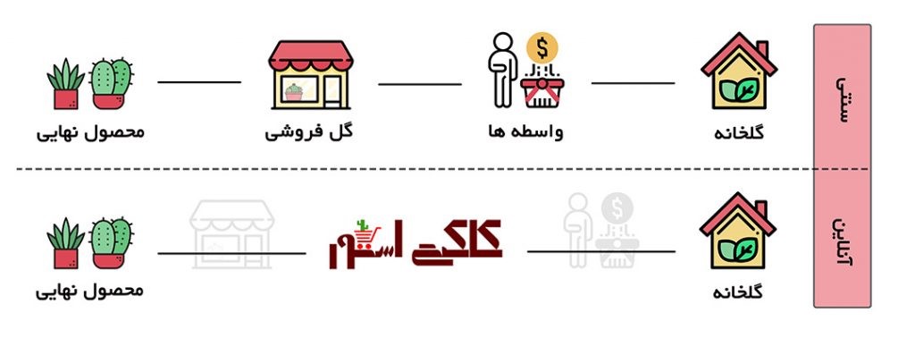 کاکتی استور اولین و بزرگترین بازار آنلاین تخصصی کاکتوس و گیاهان زینتی