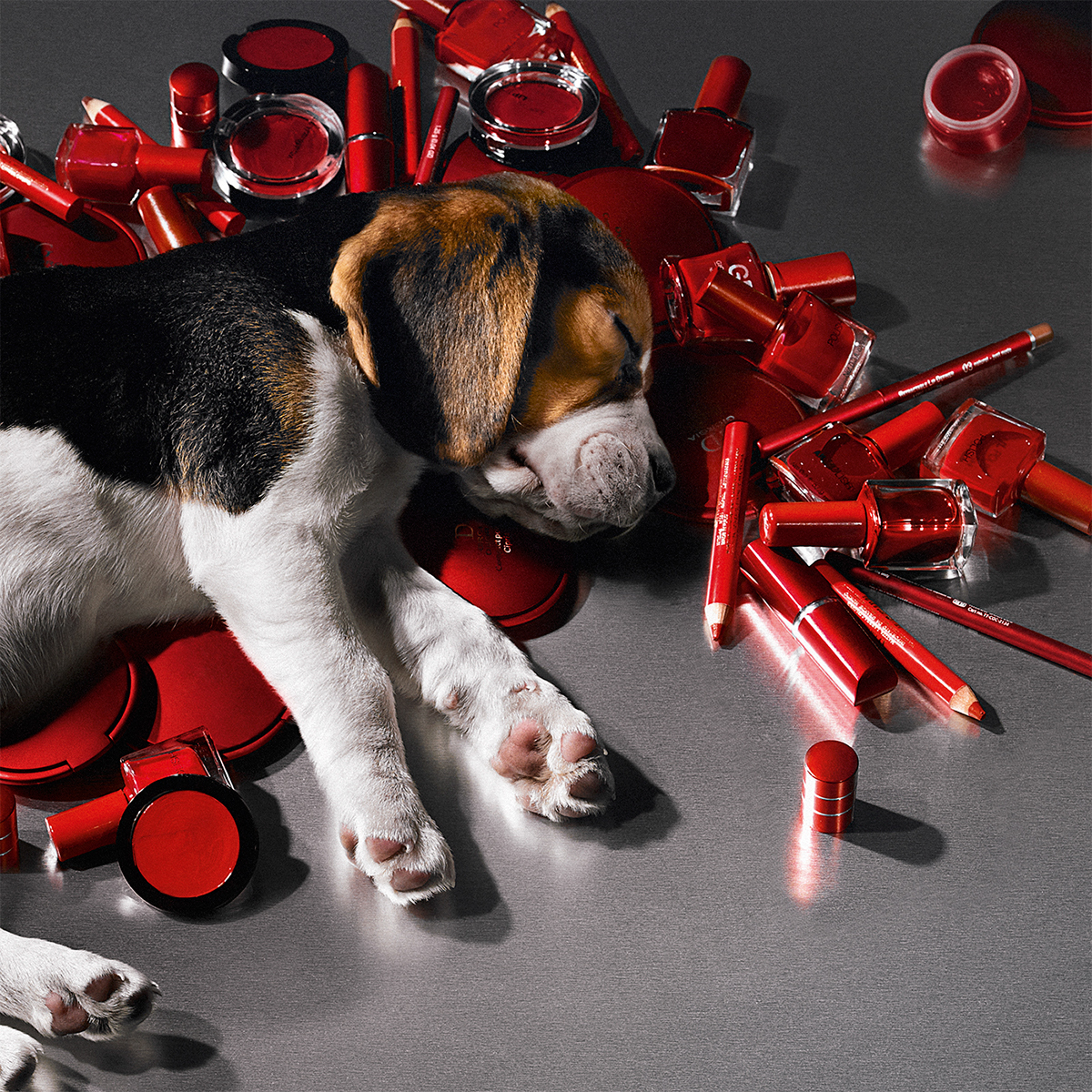 تست حیوانی ؛ رازی وحشتناک در صنعت زیبایی