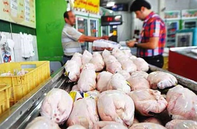 وزیر جهاد کشاورزی از مردم به خاطر بازار مرغ عذرخواهی کرد