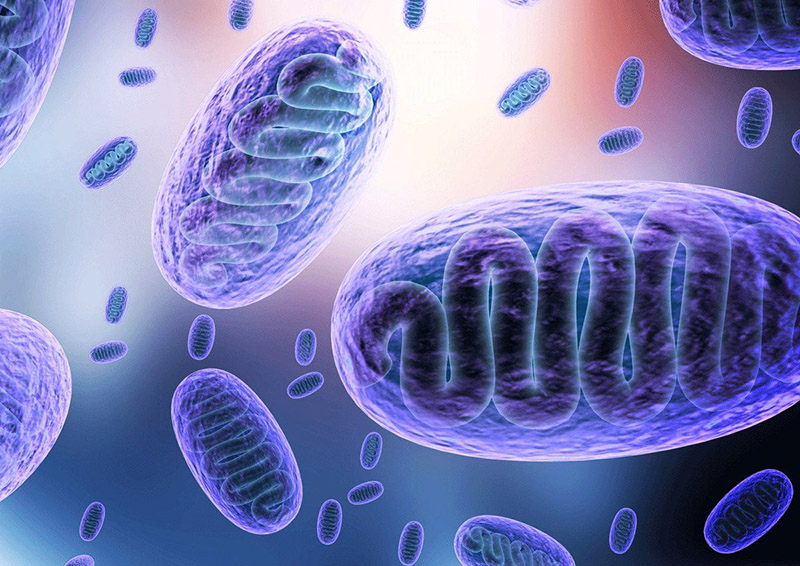 بروز قارچ سیاه در مبتلایان کرونا از زبان دکتر مردانی