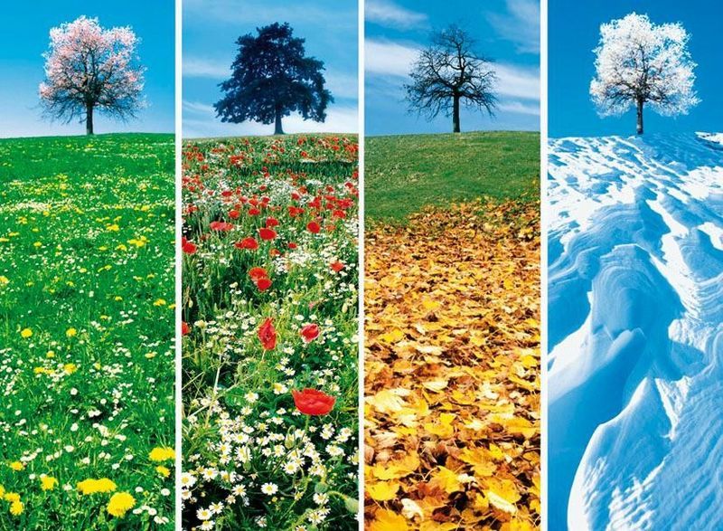 علت به وجود آمدن فصل ها در کره زمین چیست؟