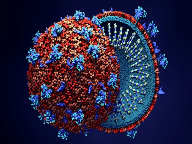 کشف روشی جدید برای پیشگیری از تکثیر ویروس کرونا