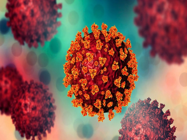 سویه کاپا ؛ جدیدترین نوع شناسایی شده ویروس کرونا در هند