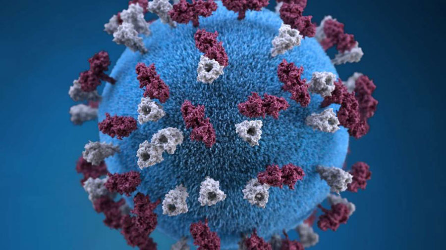 سویه کاپا ؛ جدیدترین نوع شناسایی شده ویروس کرونا در هند