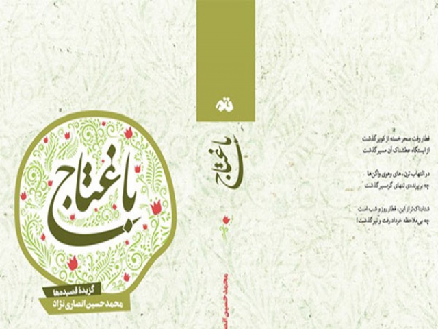 4 جلد گزیده اشعار محمدحسین انصاری‌نژاد در «باغتاج» منتشر شد