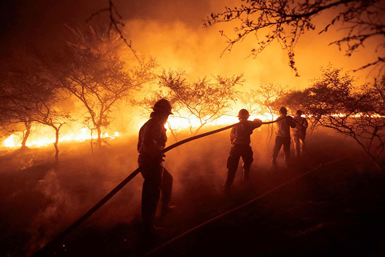 آتش نشانان در حال مقابله با آتش سوزی جنگل ها درSurubi y <br />سوروبی، پاراگوئه