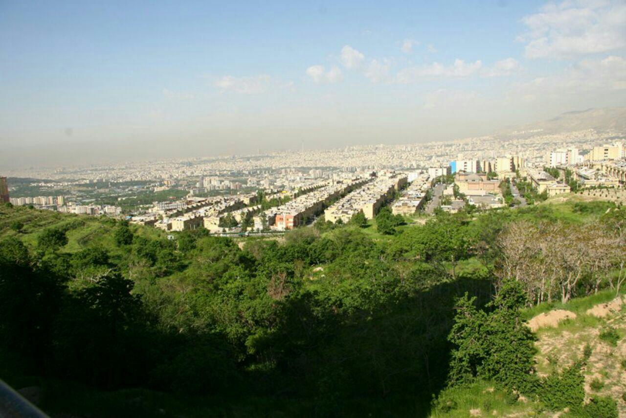 فضای سبز بوستان سوهانک