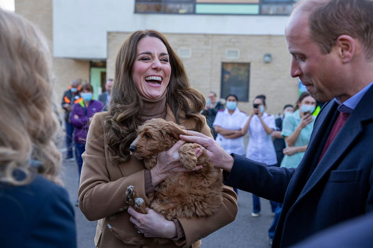 شاهزاده ویلیام و کیت با یک توله سگ درمان شده در بیمارستان خیریه ELHT&Me به نام آلفی ملاقات می کنند.<br />کلیترو، انگلستان