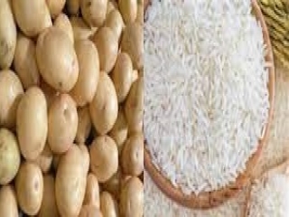 عرضه برنج و سیب زمینی آغاز شد!