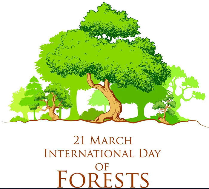 21 مارس؛ روز جهانی جنگل