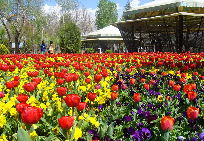 باغ گل های کرج