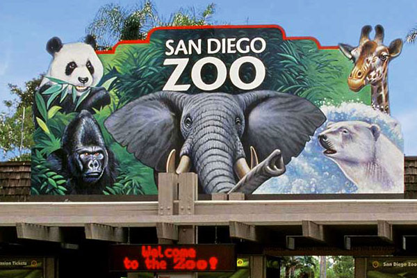 باغ وحش سن دیگو
