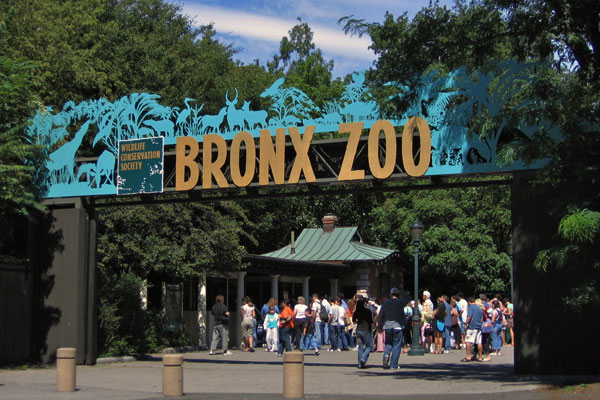 باغ وحش برانکس