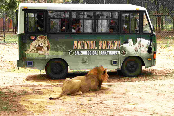 پارک جانورشناسی سری ونکاتسوارا