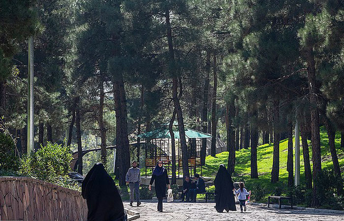 مسیر پیاده روی بوستان بانوان ریحانه چیتگر