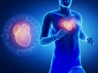 ماهیچه های قلب خود را چگونه تقویت کنیم؟