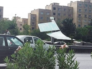 سقوط 80 درخت در تهران در پی طوفان سه شنبه