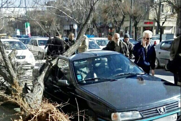 سقوط درخت بر روی ماشین در طوفان تهران