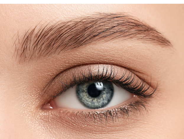 راهکارهای داشتن ابروهای پهن و پرپشت