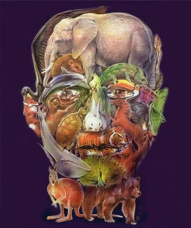در پس چهره چه می گذرد؟؟؟!!!