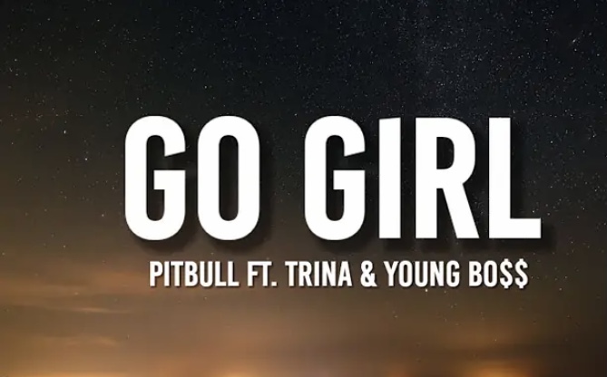 متن و ترجمه اهنگ Go Girl از Pitbull