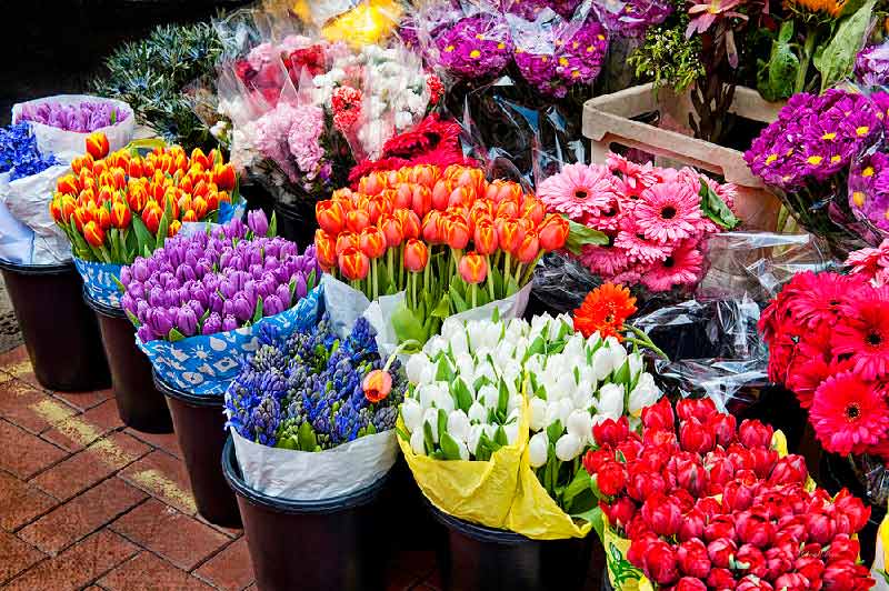 گل های خاص در بازار گل محلاتی