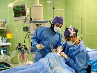۲۱ عمل جراحی رایگان در بیمارستان فرهیختگان انجام شد