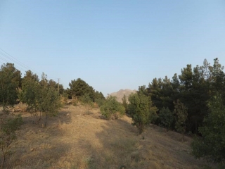 پارک ملی سرخه حصار کجاست؟