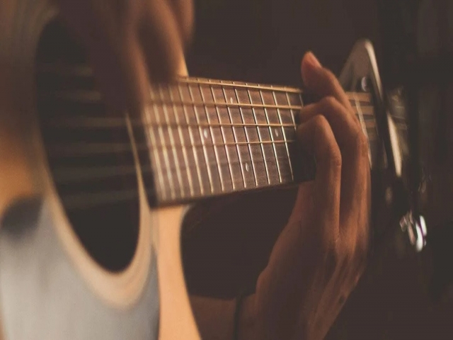 بررسی تفاوت های بین گیتار مبتدی و حرفه ای