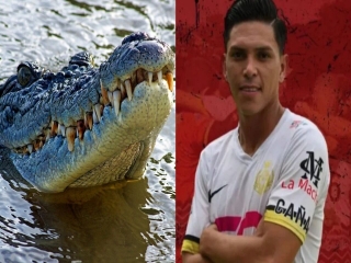 فوتبالیست کاستاریکایی توسط تمساح کشته شد