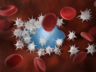 چگونه پلاکت خون را افزایش دهیم؟