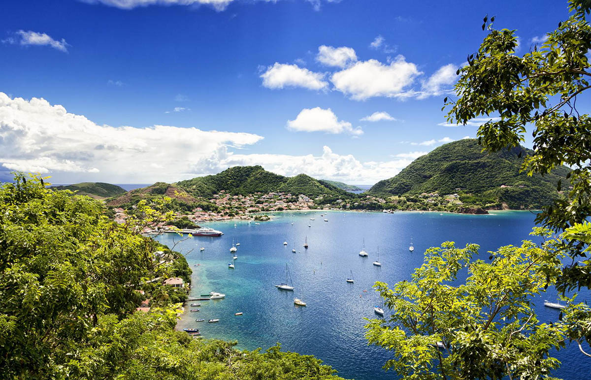 جزیره گوادلوپ