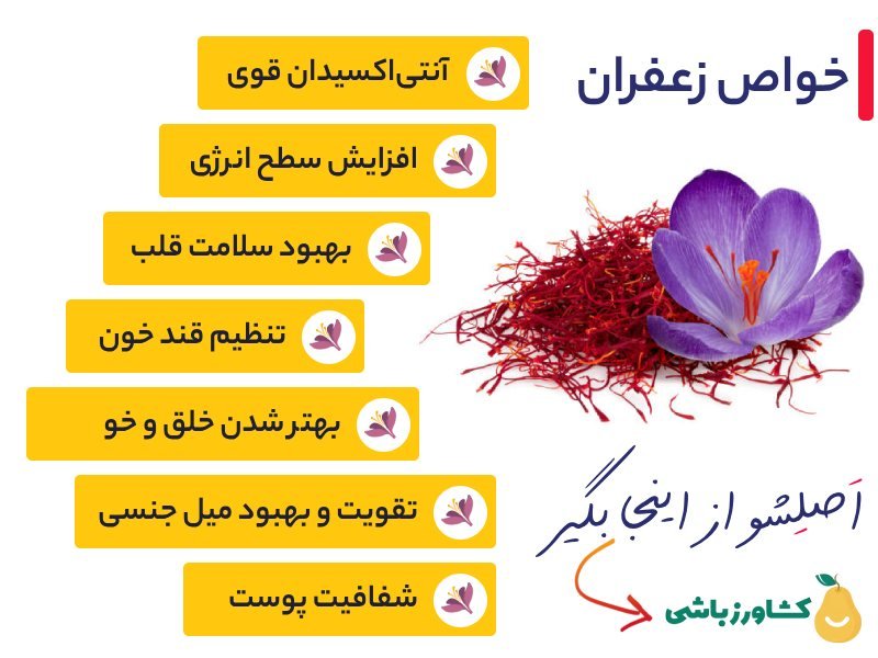 خواص زعفران چیست؟ - مهم ترین خواص زعفران اصل خواص زعفران چیست؟ - مهم ترین خواص زعفران اصل