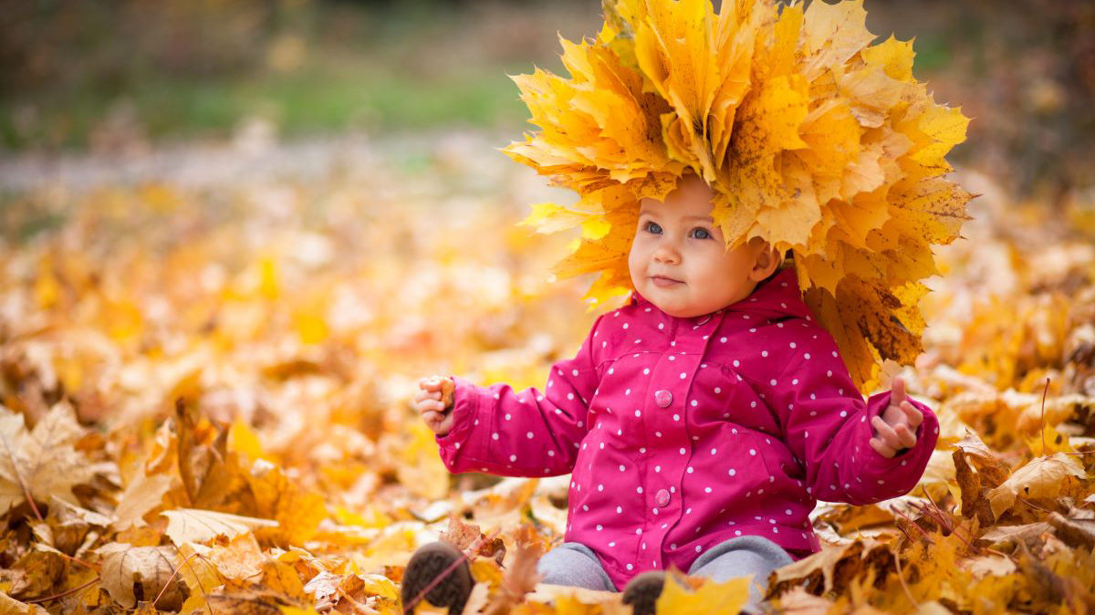 داستان کوتاه پاییزی برای کودکان