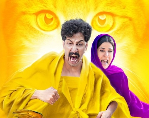 ارزش یک بار دیدن را دارد، نگاهی به فیلم سال گربه