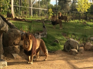 معروف ترین باغ وحش های جهان