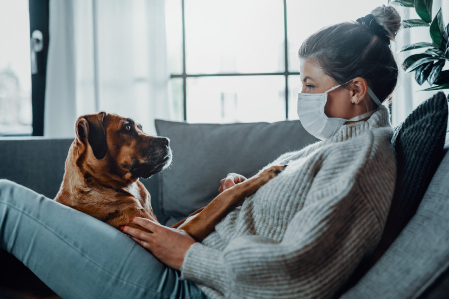 بیماریهای مشترک انسان و سگ